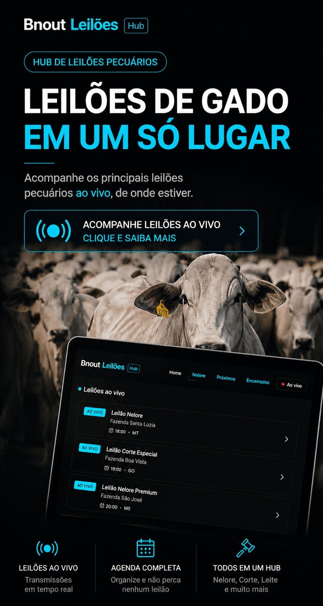 Publicidade